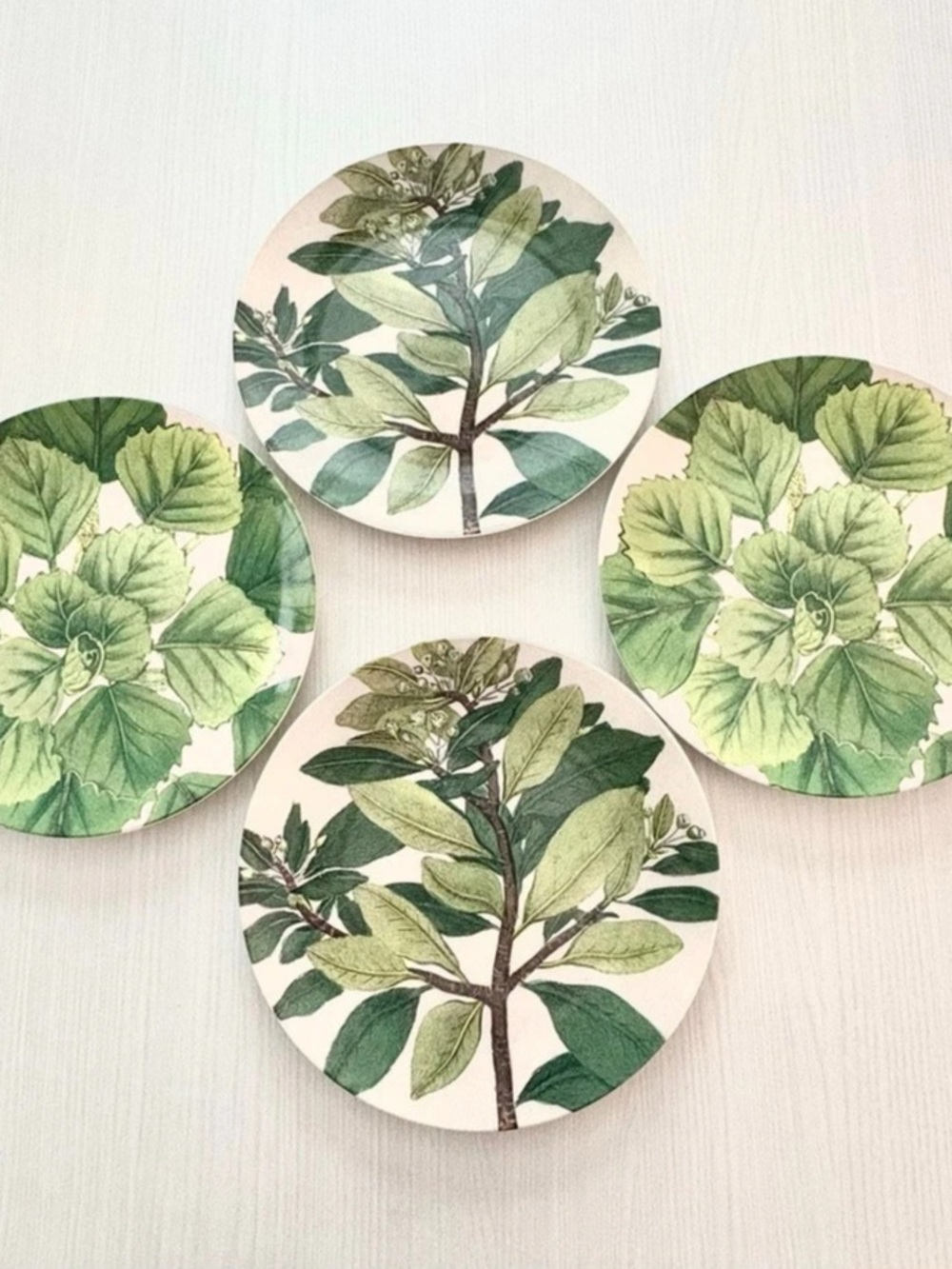 John Derian Botanical Leaf Set of 4 Melamine Dessert plates
